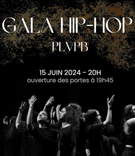 HIP icone