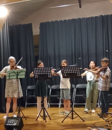 VIOLON icone
